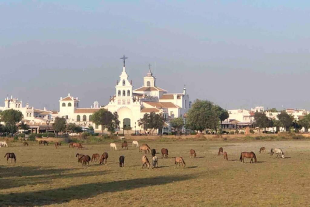 Apartament Casa Luz Del Rocio Refugio Con Alma A 8 Minutos De La Ermita Zewnętrze zdjęcie